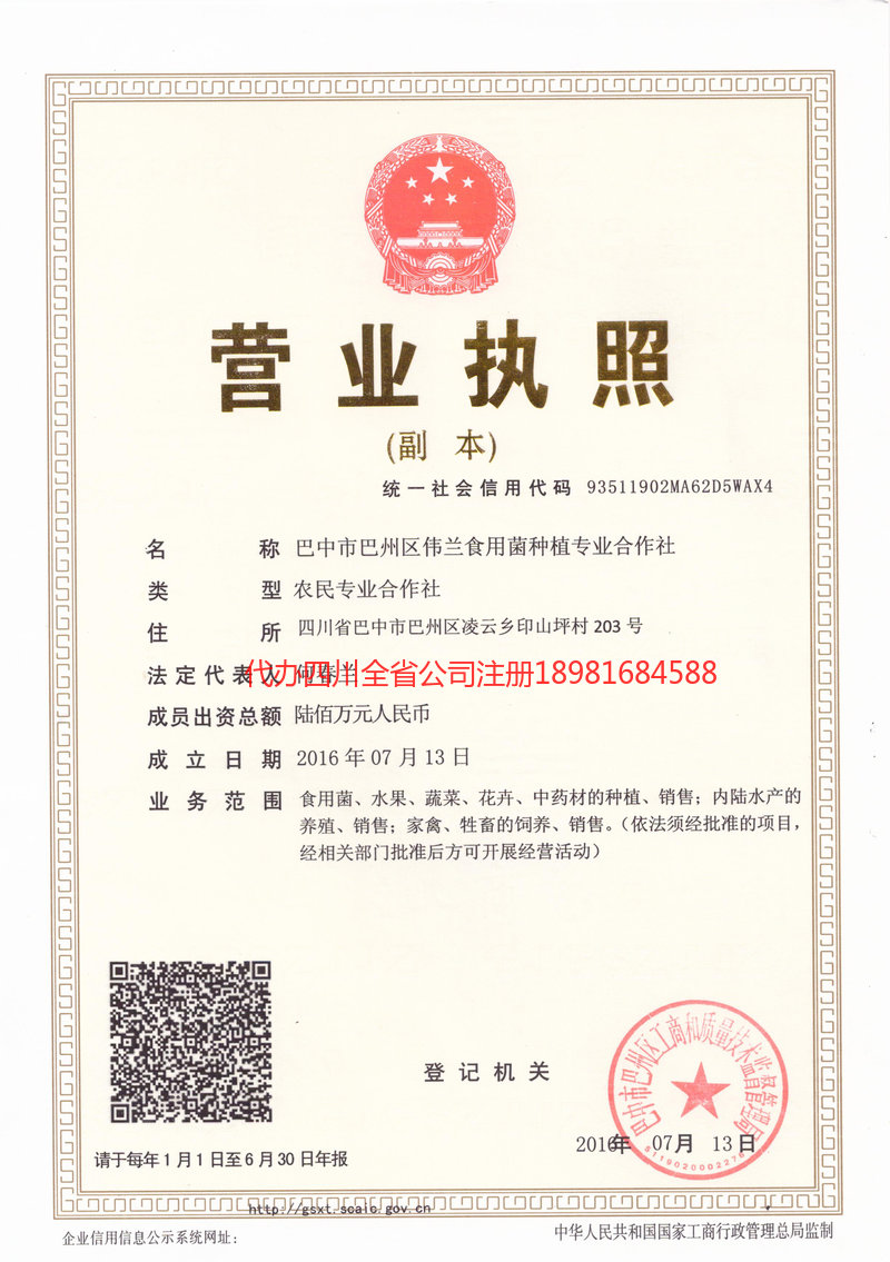 山东山东伟兰食用菌种植专业合作社